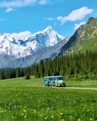 Traveling in Xinjiang in June is breathtakingly beautiful!