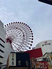 ✨大阪必逛！獨旅者的購物天堂&咖啡時光☕️