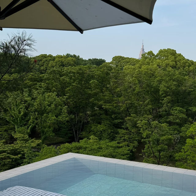 東京必住泳池酒店｜Trunk Hotel 代官山秘境，頂樓無邊泳池絕美體驗