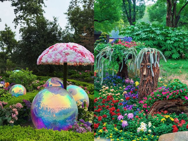 上海共青森林公園