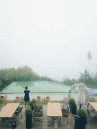 當我住進安吉嘅雲霧之巔~目之所及皆係景色