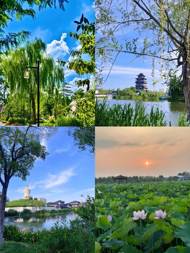 探索江蘇秘境，宿遷之旅不可錯過！