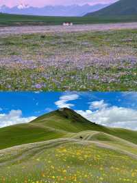 喺川西！去山裡面感受20度嘅夏天
