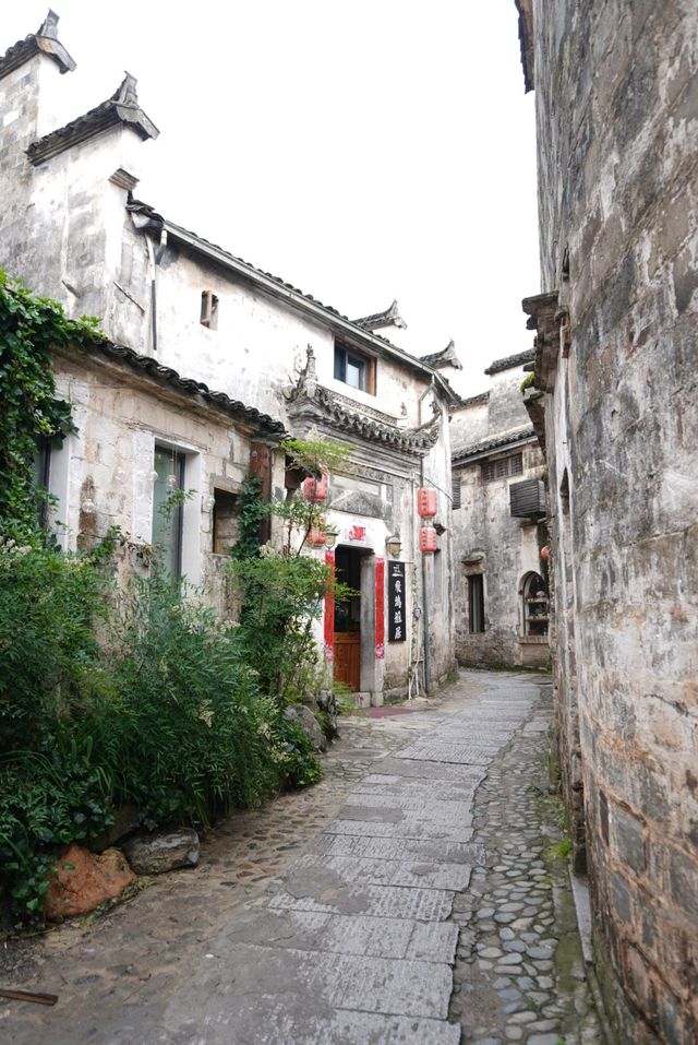 宏村旅行攻略，睇呢篇就夠啦
