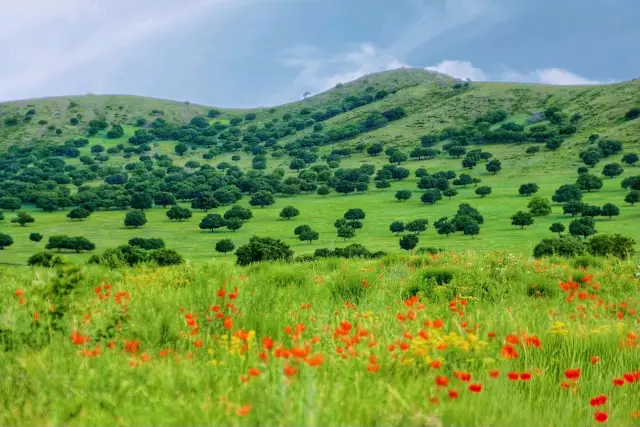 Unveiling Tongliao's Hidden Gems! 5 Lesser-Known but Breathtaking Grassland Attractions