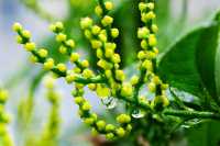 人間春日應問茶，走！去歙縣飲茶去→