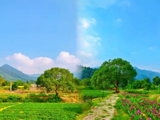 Gushanzhong Travel Guide! The Ultimate Guide!