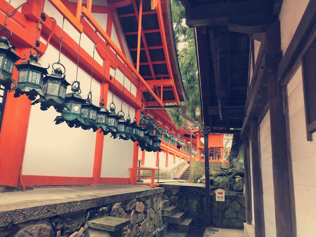 **【穿越千年古韻！大阪春日大社祕境體驗全記錄】**    