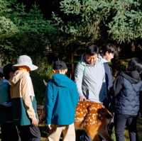 今年暑假我只帶小朋友去一個地方：青海x甘肅