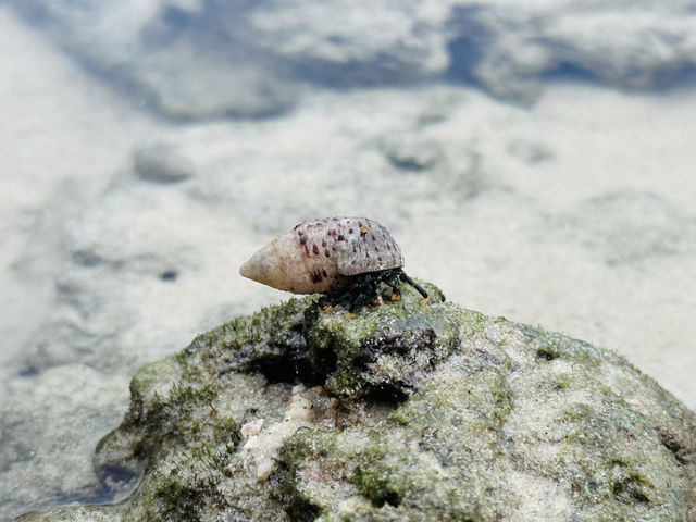 普吉島之旅