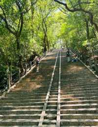 上海松江：廣富林與佘山暢玩指南