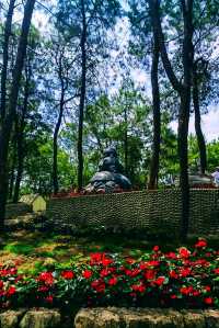 快嚟呢度睇漫花山田，感受摩崖石像，暢享田園自然風光