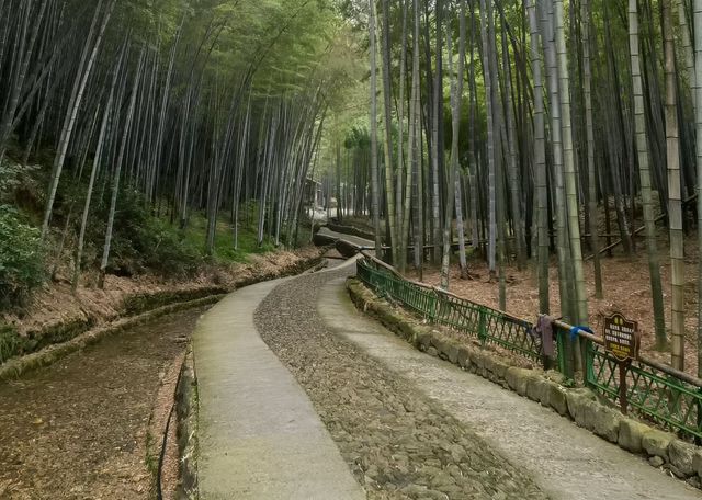 杭州蕭山「睇海」攻略嚟啦，你鍾意邊個？