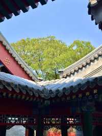 北京 | 京城頂奢 —— 頤和安縵酒店