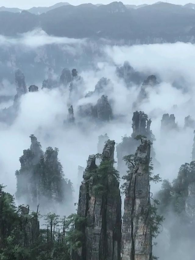 張家界避暑秘境全息地圖