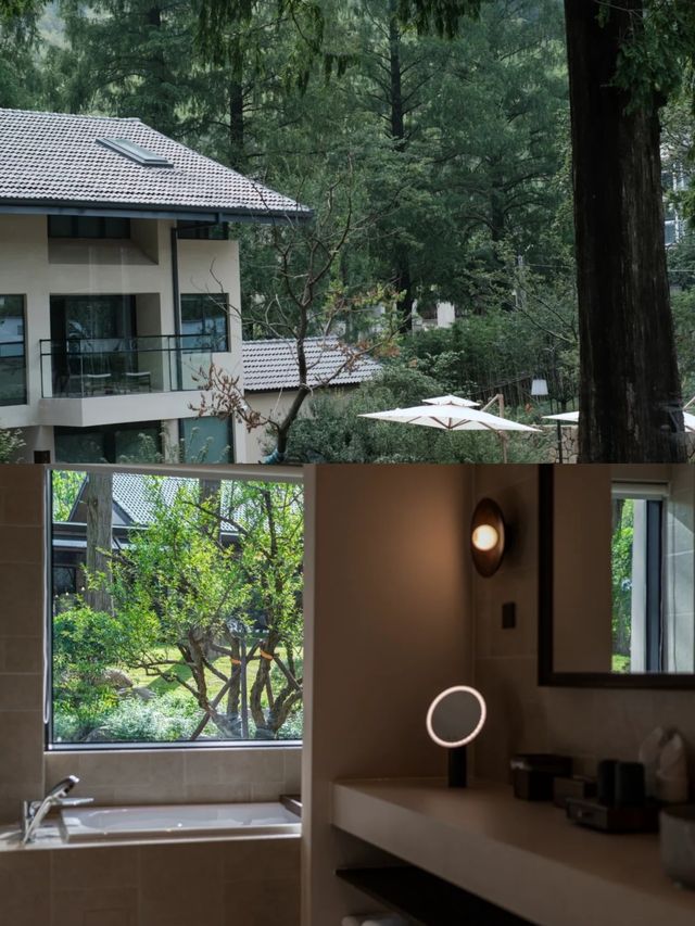 喺良渚嘅水杉林深處，簡直係隱世天堂