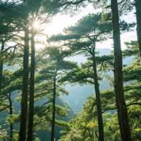 三清山：雲端仙境的朝聖之旅
