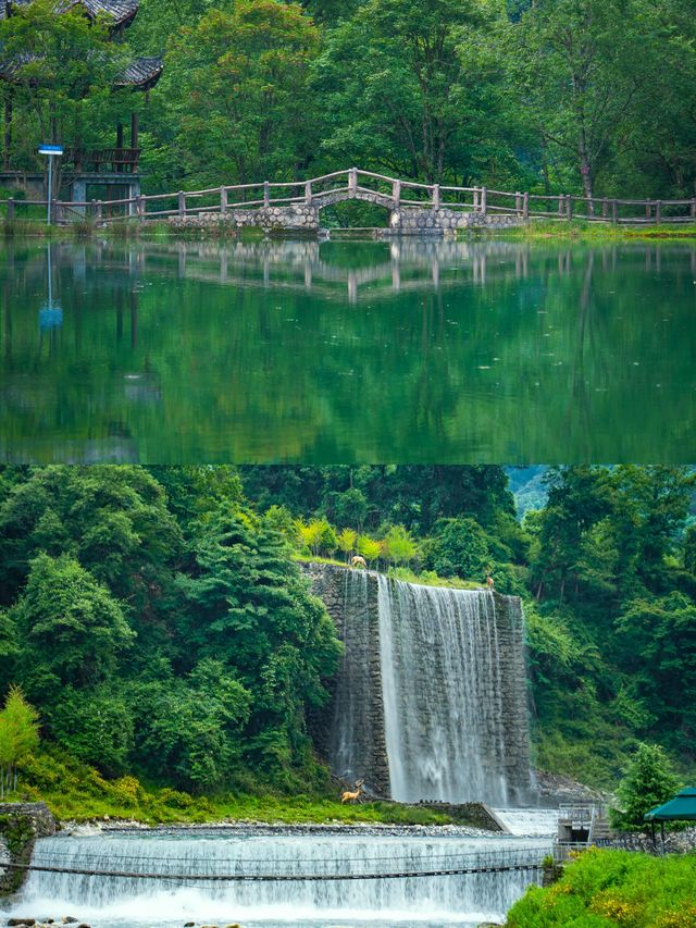 從38℃逃進森林嘅我,只想留喺度唔走 從38℃逃進森林嘅我,只想留喺度唔走