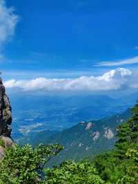 風在,雲在,天堂在——華東最後一片原始森林嘅秘境召喚