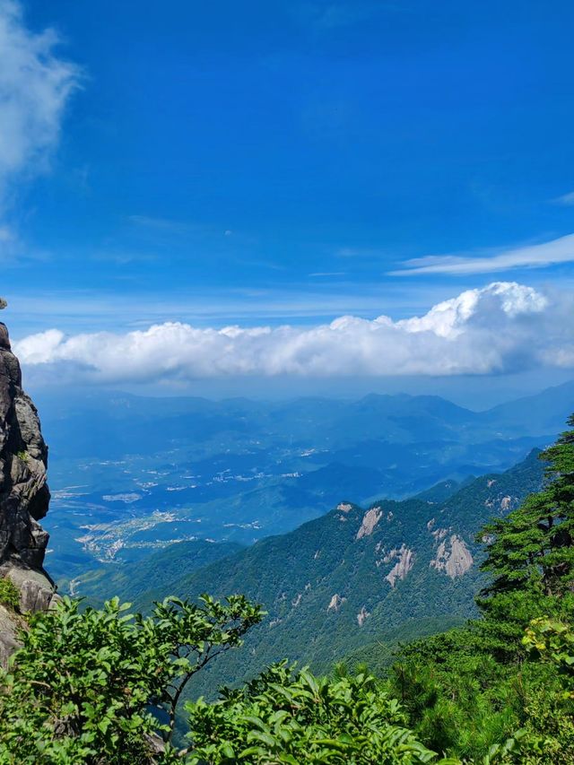 風在,雲在,天堂在——華東最後一片原始森林嘅秘境召喚 風在,雲在,天堂在——華東最後一片原始森林嘅秘境召喚