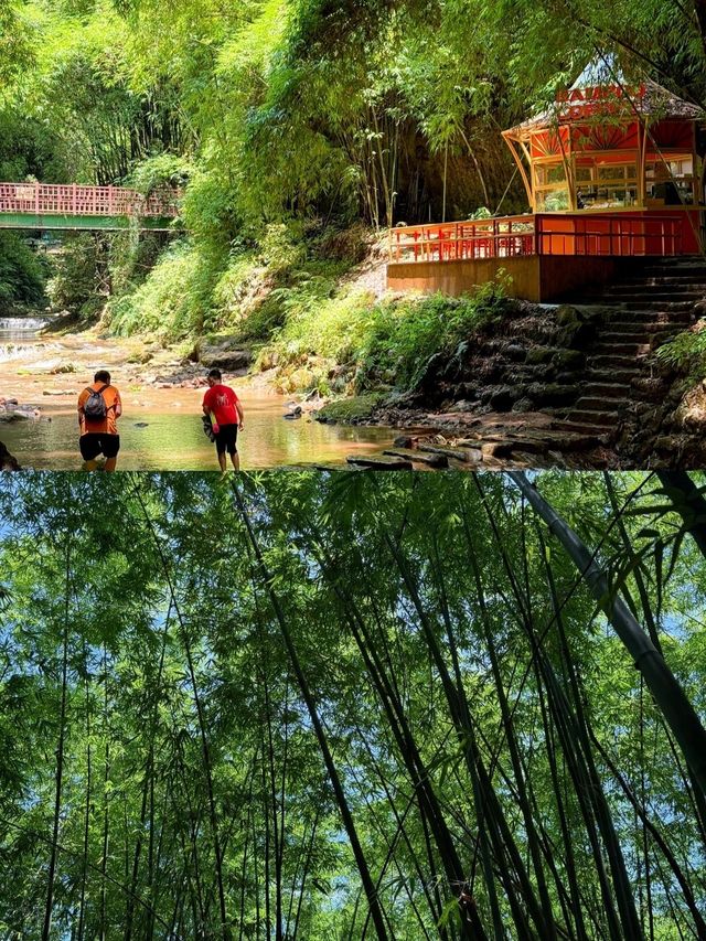 川西竹海｜成都1h直達的綠野仙蹤，沉浸式吸氧攻略 