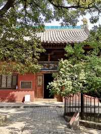 古剎凝韻，千載梵音 —— 平遙鎮國寺