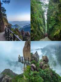 剛爬完三清山，激動到連夜寫攻略！雨中雲海美到窒息