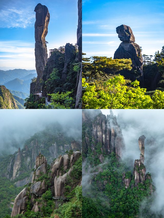 剛爬完三清山，激動到連夜寫攻略！雨中雲海美到窒息