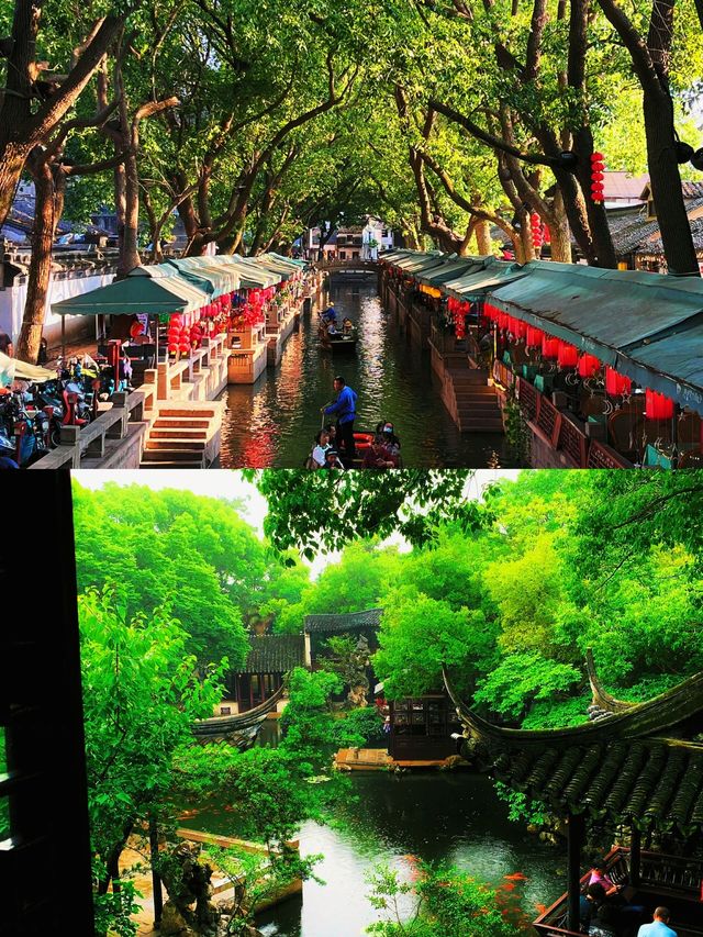 同里古鎮慢遊全攻略|退思園聽雨,三橋踏月,一鍵收藏! 同里古鎮慢遊全攻略|退思園聽雨,三橋踏月,一鍵收藏!