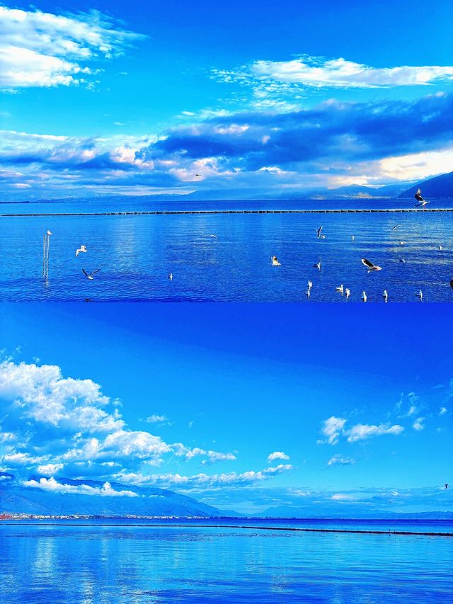 洱海3天2晚慢遊攻略紅杉海鷗懸崖日落一次看夠！