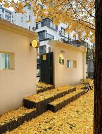 沈陽秋日躺玩攻略:住豪澤芮茲慢賞秋