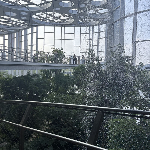 【上海】上海温室花園🪴｜写真映え×自然癒し×屋内観光にぴったり！