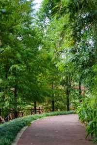 樂山必打卡綠心公園