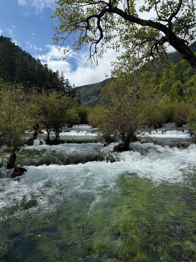 九寨溝美炸了五彩池陽光下波光閃耀山水之韻都在這兒！