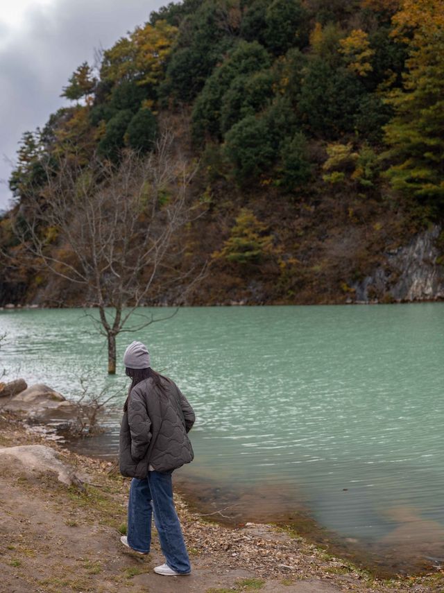 留壩住宿推薦！強烈推薦！！