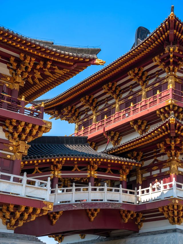 為了這18張照片…我特意飛了一趟洛陽
