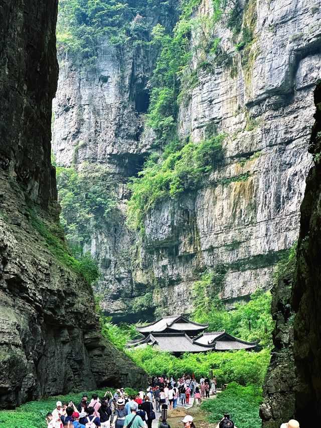 重慶仙女山國家森林公園：大自然之魅力的山野天堂