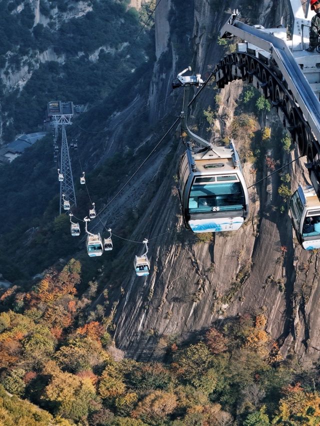 秋遊華山就選北峰線 索道直達的絕美秋景！