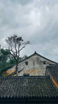 隋代古剎，禪意悠然，一場洗滌心靈的修行