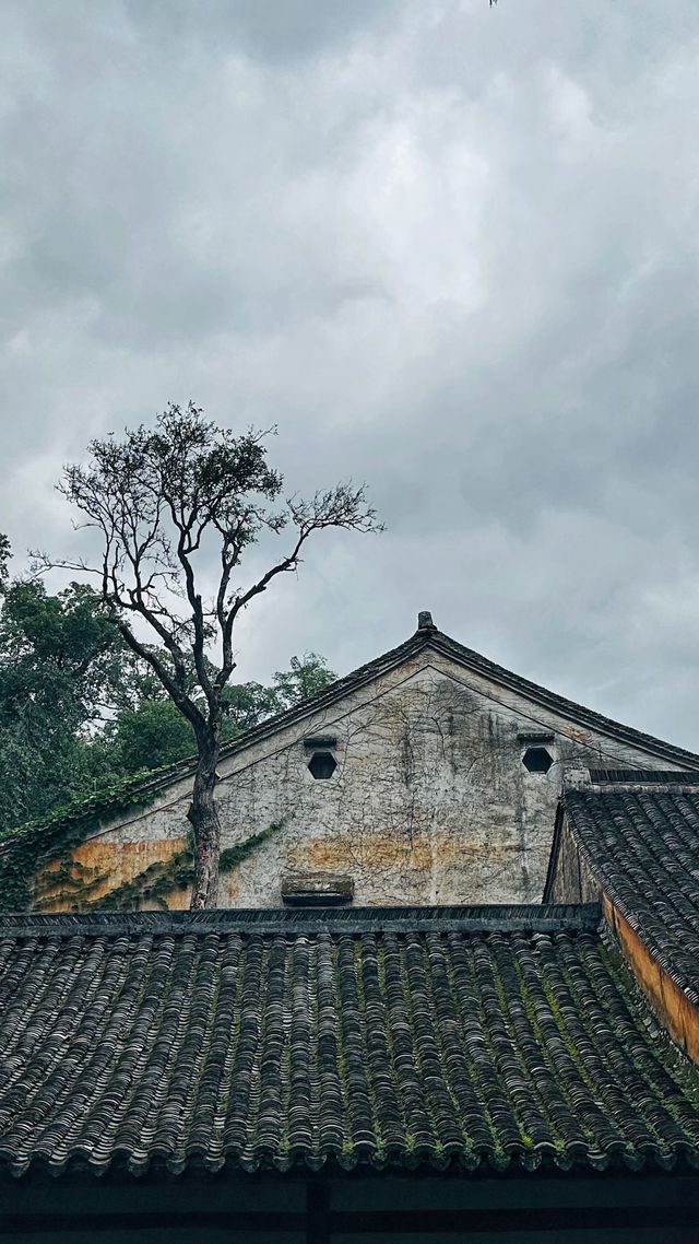 隋代古剎，禪意悠然，一場洗滌心靈的修行