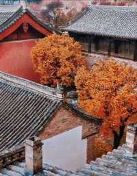 五臺山紅葉觀賞