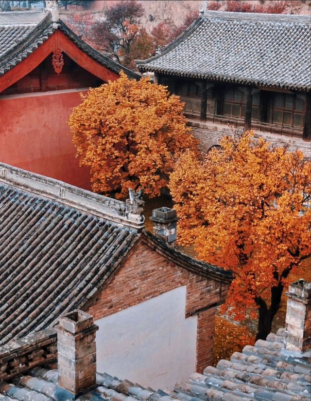 五臺山紅葉觀賞