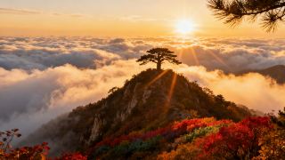 Reverse tourism wins big! After the National Day holiday, I took over the entire Taihang Mountains' red leaves in Fuping