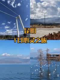 秋遊昆明包車暢遊 邂逅別樣秋色