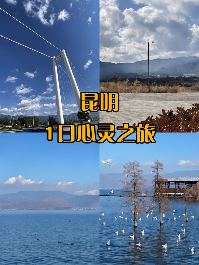 秋遊昆明包車暢遊 邂逅別樣秋色 秋遊昆明包車暢遊 邂逅別樣秋色