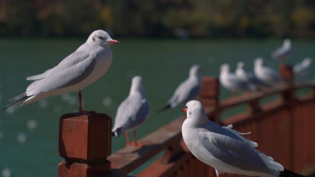 昆明隱藏玩法!海洪濕地2025保姆級攻略 昆明隱藏玩法!海洪濕地2025保姆級攻略