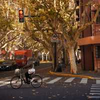 🍂상하이의 가을, 이 도시를 사랑하는 이유