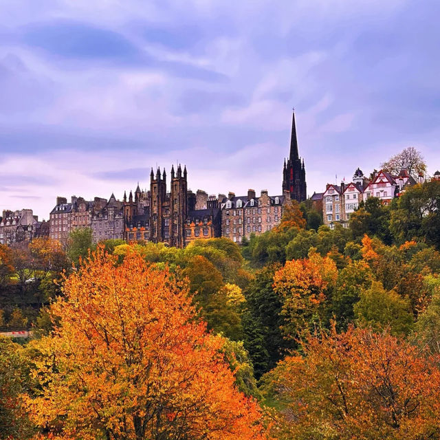 🍂에든버러 가을，일곱 번째 맞이하는 계절의詩