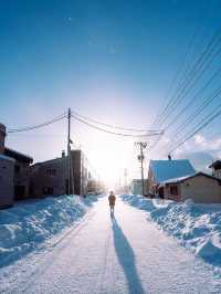 冬日札幌省錢攻略