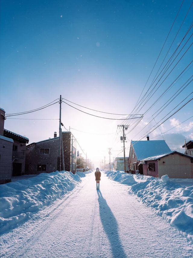 冬日札幌省錢攻略